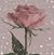 Lisa D Peters's profile image