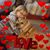 Teresa Sless's profile image