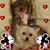 Brenda Campos de S's profile image