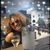 Carla Schomaker's profile image