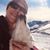 Sara J Hoy's profile image