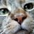 Christine Schlumpf's profile image