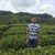 Muhammad Adam Zoheeruddin's profile image