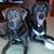 Debbie Kuhns's profile image