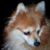 Tom Mekara's profile image