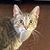 Anton Pietra's profile image