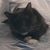 Charlie Maranto's profile image
