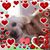 Mary Kovach's profile image