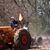 Richard Haff's profile image