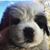 Kimberly Bartlett's profile image