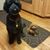 Geana Chapp's profile image