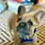 Gina Fulton's profile image