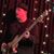 Antony Fanelli's profile image