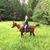 Jodi Ouellette's profile image