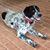 Winston Linker's profile image