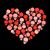 Lori Anderson's profile image