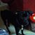 Autumn Olges's profile image