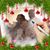 Deirdre Harper's profile image