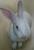 Terri R.'s profile image