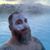 James Brough's profile image