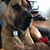 Cindy Ratajcak Raffay's profile image