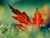 Owen C.'s profile image