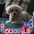 Doris Del Verde's profile image