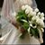 Belinda Rosas's profile image
