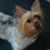 Pamela Sloan's profile image