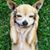 Renae Compton's profile image