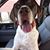 Erik Halden's profile image