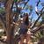 Sammi Colombo's profile image