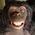 Walt Randle's profile image