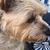 Christopher Elwell's profile image