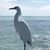 Joyce Tony Griffin's profile image