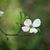 Susan Hay's profile image