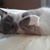 June Emmanuelli's profile image