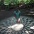 Mary Bolline Stefanich's profile image