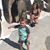 Alia Linhart's profile image