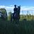 Abby Etter's profile image