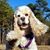 Vanessa Durham's profile image