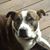 Jessica White Lynch's profile image