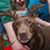 Sharon K. K. Beals's profile image