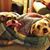 Tracy Childers's profile image