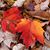 Claudia Gregoire's profile image