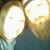 Sherri Miller's profile image