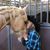 Jamie Baloun Toussaint's profile image
