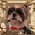 Jill Wright Phegley's profile image