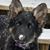 Heather Rowold's profile image