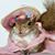 Brenda Heath's profile image